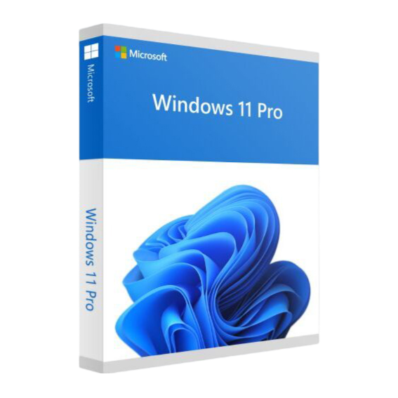 Windows 11